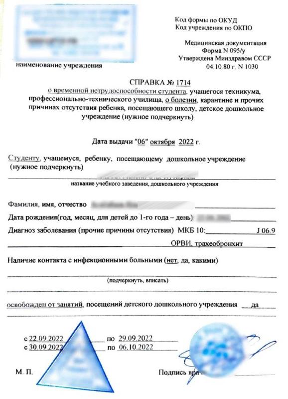 Купить Справку 095у